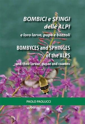 BOMBYCES AND SPHINGES OF THE ALPS AND THEIR LARVAE, PUPAE AND COCOONS (EN/IT)  *