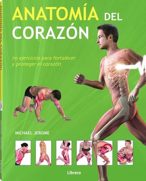 ANATOMÍA DEL CORAZÓN *