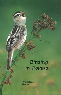 BIRDING IN POLAND *