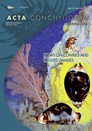 19 NEWS ON COWRIES AND RELATED FAMILIES *