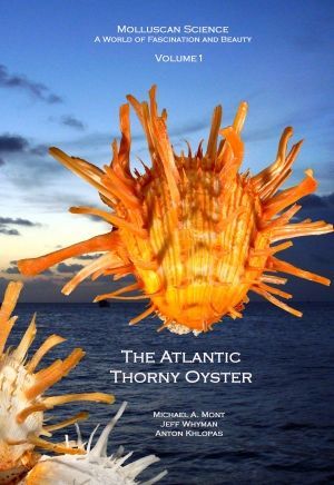 THE ATLANTIC THORNY OYSTER *