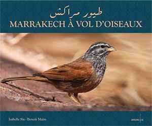 MARRAKECH À VOL D'OISEAUX : *