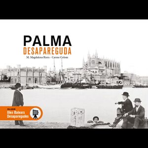 PALMA DESAPAREGUDA *