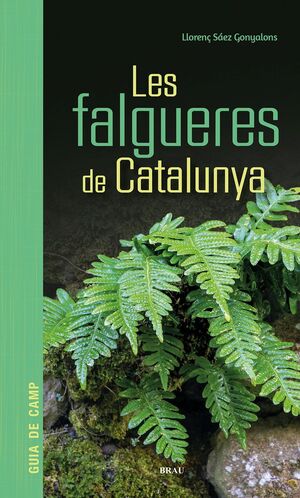 LES FALGUERES DE CATALUNYA *