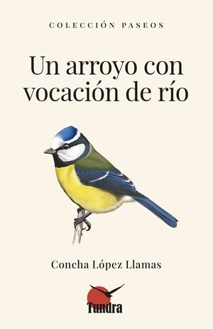 UN ARROYO CON VOCACIÓN DE RÍO