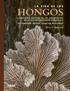 VIDA DE LOS HONGOS *